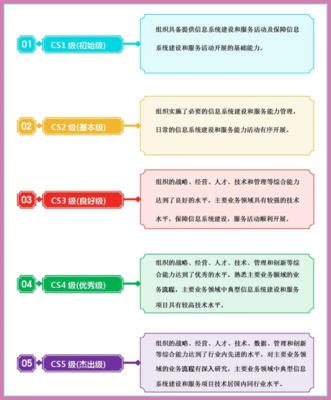 CS資質級別、概念及辦理要求——信息技術咨詢服務詳解